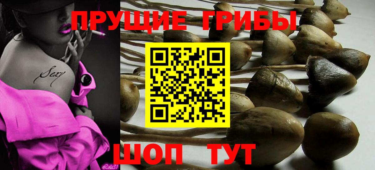 Всеволожск  Псилоцибиновые грибы MAGIC MUSHROOMS  Вход с VPN 